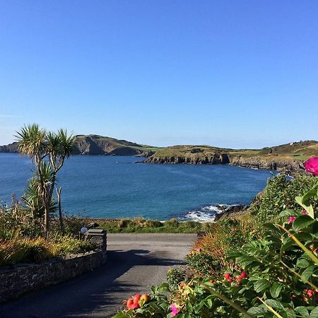Bed and Breakfast Sandycove House Bed & Breakfast Castlehaven Pokój zdjęcie