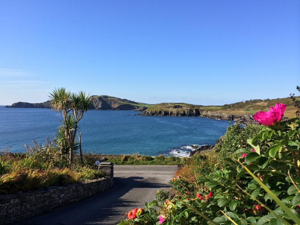 Bed and Breakfast Sandycove House Bed & Breakfast Castlehaven Pokój zdjęcie